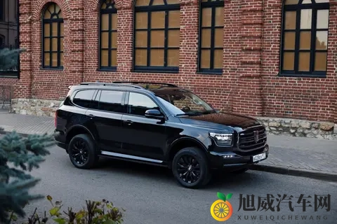 中国汽车对俄罗斯出口销量下降过半，原因是什么？-3