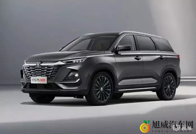 白白色：纯净无瑕，如雪似霜的美丽-1