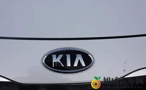 全新起亚奕跑798万起，14L动力真没啥意思了-1