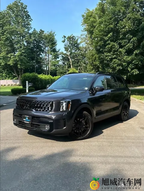 起亚Telluride：一场针对北美市场的“精致投机”-1