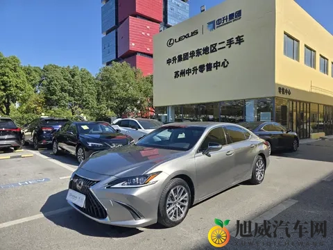 网站你懂我意思吧：新能源汽车崛起，智能驾驶引领潮流，购车指南大揭秘-2