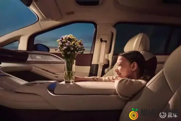 丝瓜草莓榴莲秋葵丝瓜榴莲秋葵：新能源汽车崛起，未来交通新趋势一览-1