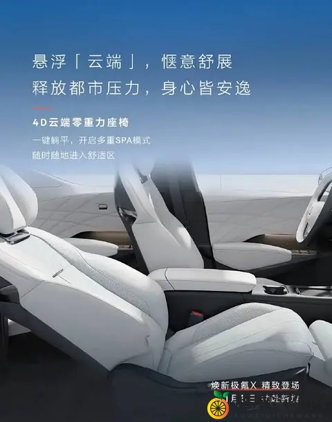 配电动滑移屏_11月5日亮相 新款极氪X内饰官图发布-1