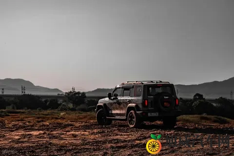 Deepseek探讨：老车情怀-3