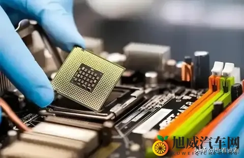 记者质问荷兰首相：你认为荷兰这做法蠢不蠢？他的回应绝了-1