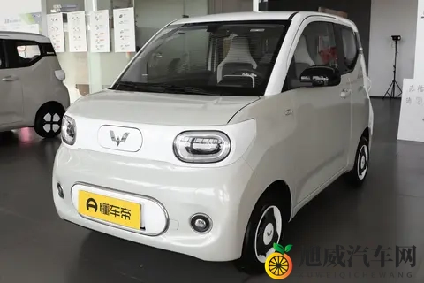 提供三门、四门版可选，五菱宏光 MINIEV配置解析，哪款值得选？-2