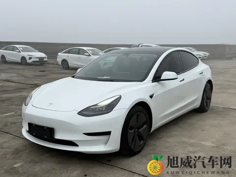 三年Model3，加速56秒，电车二手行情香不香？-1