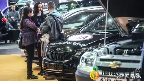 双重绞杀，中国汽车对俄出口骤降六成-2