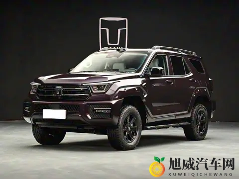 与纵横G700_豹5竞争 新增高阶辅助驾驶 新款坦克400前景如何？-1