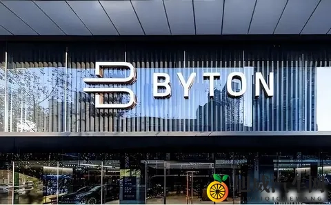 被央视点名批评！烧光84亿造不出一辆车，却花5000万给员工买零食-1