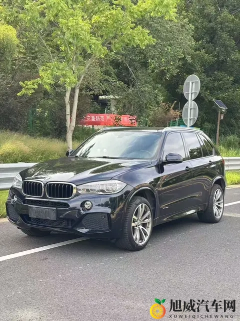 2018款宝马X5：30T+8AT，9万公里，豪华依旧，奶爸之选-2