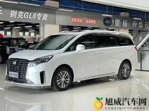 24万拿下准新一手别克GL8陆尊，宜商宜家！-2