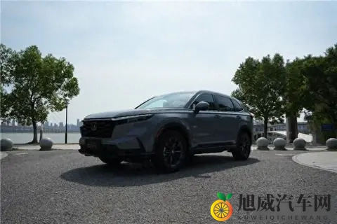 美容院女同性按摩：汽车美容新体验，告别疲劳，焕新驾驶乐趣-2