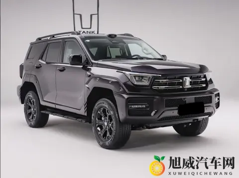 再等2天，新一代坦克400将上市发售，四种动力可选-2