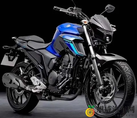 雅马哈飞致250复出 拼的不是马力 是省油能走天下的底气-3