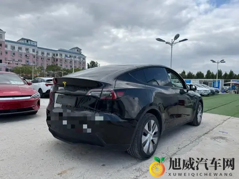 15万拿下特斯拉?4万公里Model Y代步值不值?-1