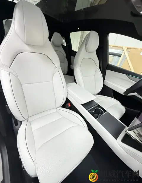 Model Y L 浅灰内饰太好看了!选装太值了!-2