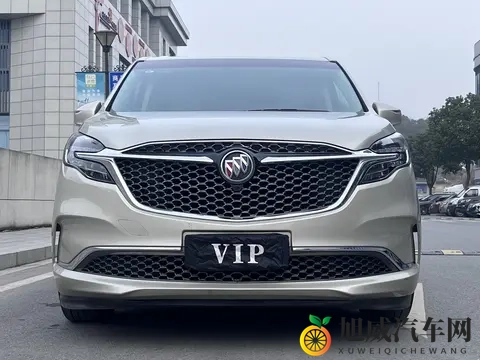 228万，宜商宜家之选，准新别克GL8陆尊！-3