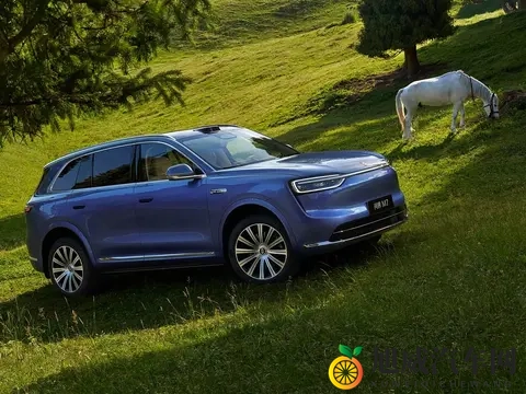 名字好听的8个汽车品牌,长安、问界、吉利、奇瑞在榜-2