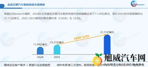 2025年全球直流无刷汽车散热风扇企业出海战略机遇研究报告-1