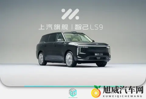 细节满满_堆料十足 智己LS9静态体验-2