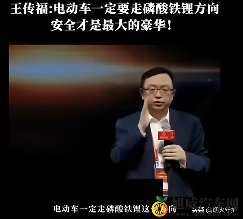 世界最人不安3纪录片:汽车产业揭秘:环境隐患与绿色发展之路-2