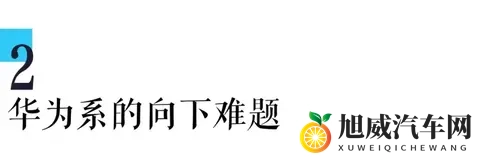 不贵的比亚迪 vs 不便宜的华为！智驾大战背后藏何玄机？-3