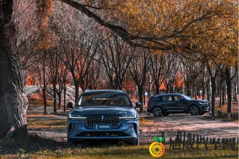 豪华 SUV 怎么选？实测后我偏向航海家✨-2