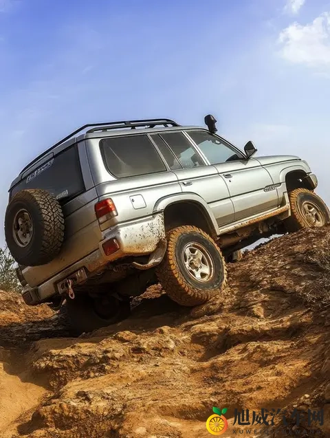 黄色软件下载opop：免费下载OPOP黄色软件资源-3