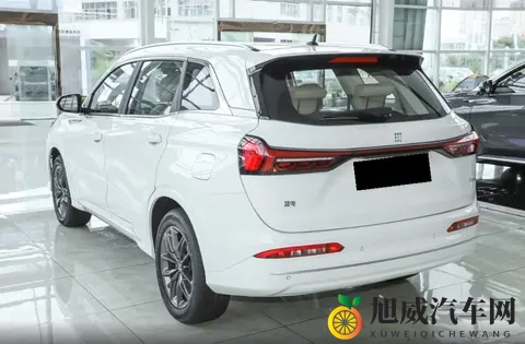 有亮点但不多，蓝电E5 PLUS户外属性十足，你觉得它值得入手吗-1