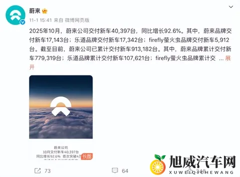 10月车企销量  黑马零跑破7万，巨头比亚迪狂揽44万-2