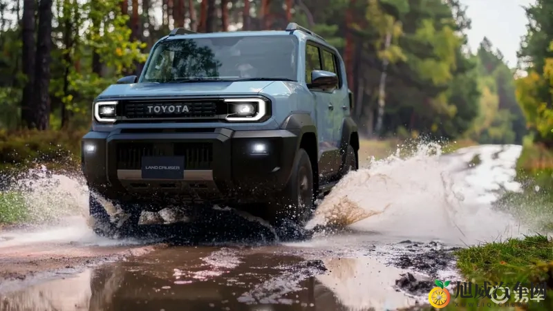 51cg.fun：创意动漫社区，精彩无限探索-1