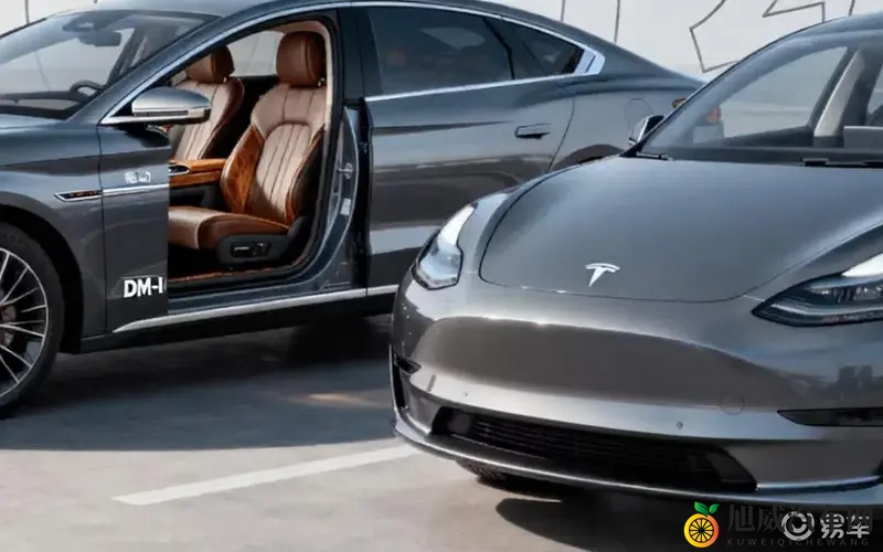 好大公 快用力日 日：激情挑战，极致快感，全力挥洒时光-2