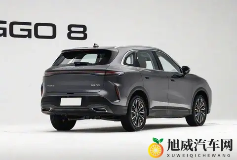 6款新车信息公布：瑞虎新车“虎踞豹跃”，兰博基尼赛车27年出征-1