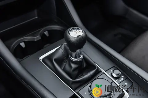 美女脱的干干净净视频软件：汽车视频软件盘点：掌握最新动态，畅享驾驶乐趣-1