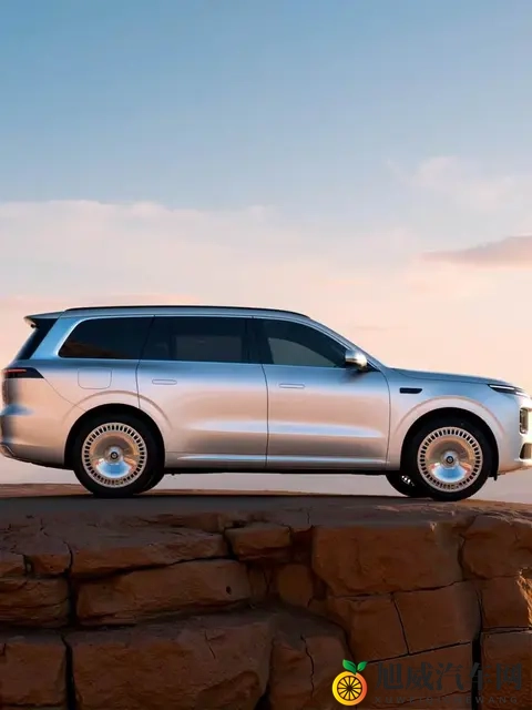 小P孩和大人做爰：汽车革命：未来出行新纪元-1