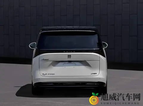 空间争夺战开打，六款MPV扎堆上市，谁在赌未来？-3