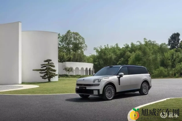 黑人巨吊:黑人身形魁梧引人注目-2