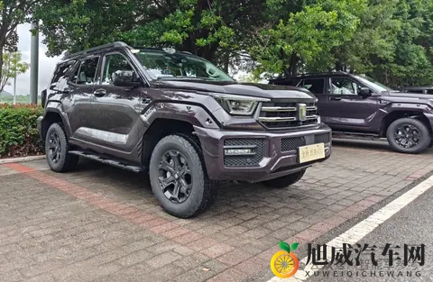 25万起，坦克400智能家用拉满，辅助驾驶雨天重庆也好用-2