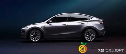 特斯拉Model Y长续航后驱版上市-3