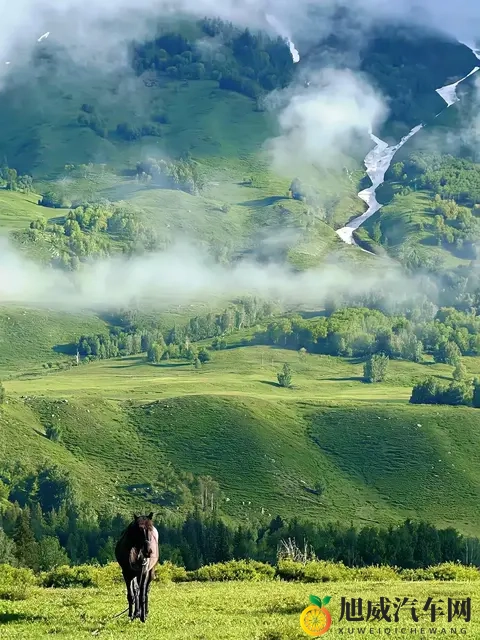 黄色软件www:网络色情内容平台揭秘-2