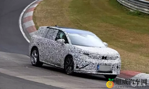 天天插天天干天天操：每日挥汗如雨，持续拼搏不止-1