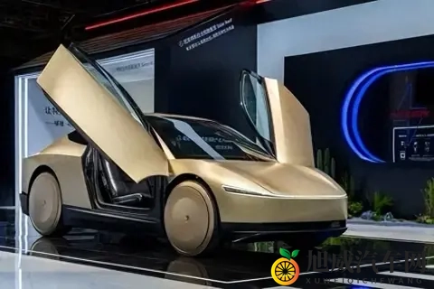 没有方向盘、脚踏板！特斯拉无人驾驶车亮相-2