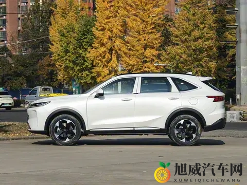 10万级燃油王者！长轴版哈弗H6即将上市，定位中型SUV，搭载20T-2