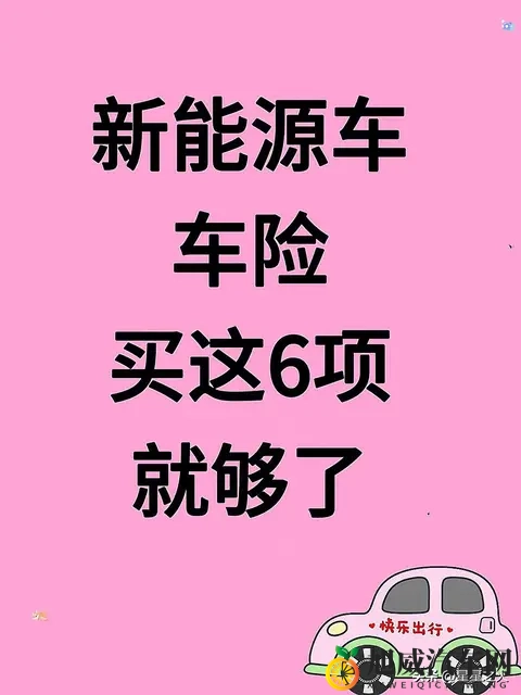 新能源车车险买这6项就够了-1