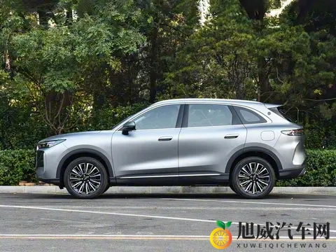 全新瑞虎8即将上市!双前脸可选,预售1059万起,搭载16T发动机-1