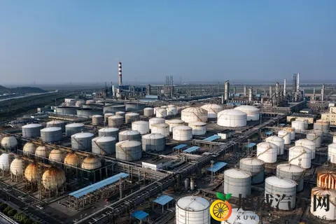 全国首个！13部门联手出拳，成品油新规能否根治非法加油车隐患？-2