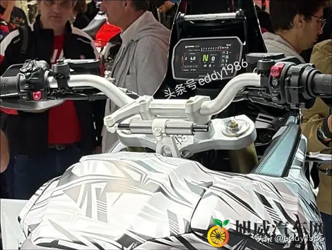 欧美人与动物：西方文化与动物情缘-2