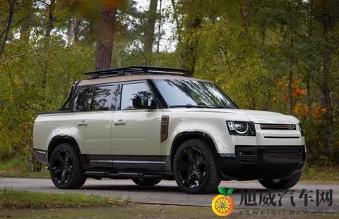 车迷狂喜！全球首款卫士皮卡正式发布，可惜不是路虎亲生的！-2