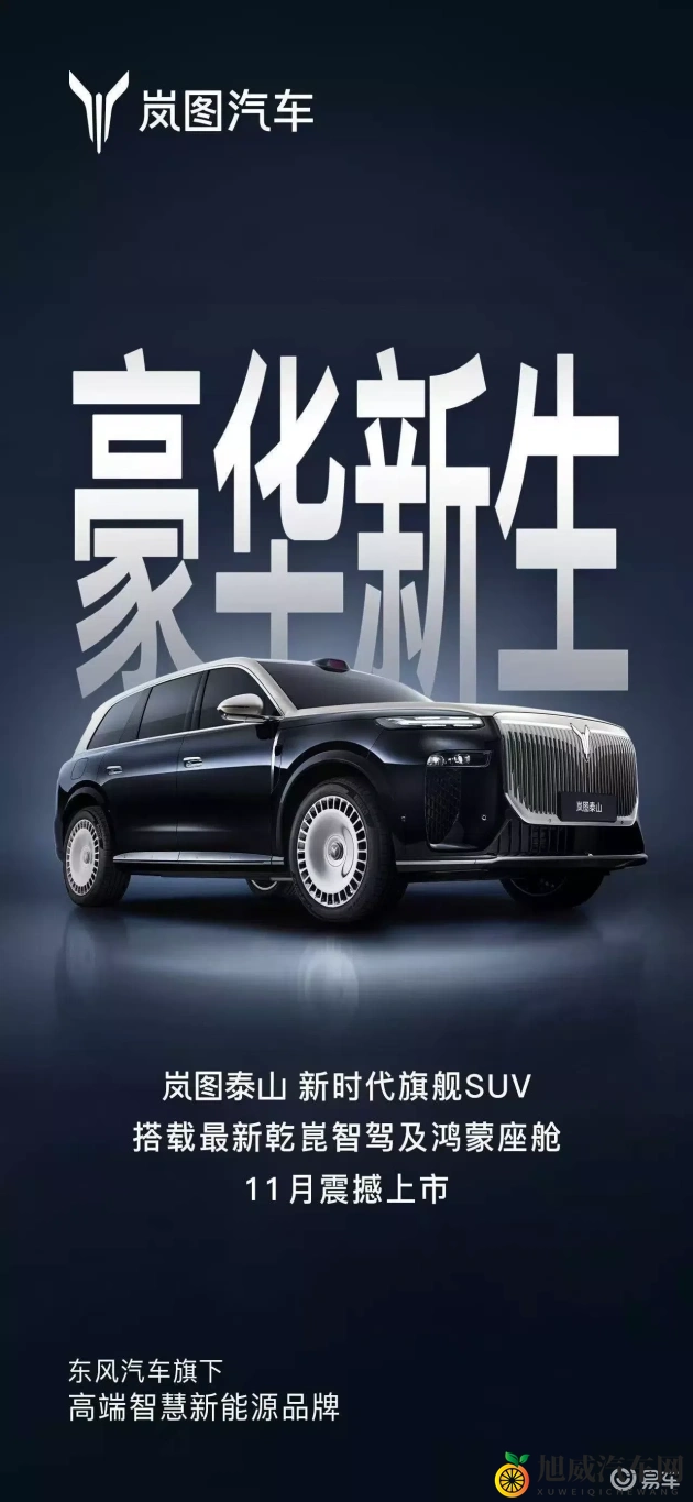 五月花婷：汽车新贵崛起，引领时尚潮流，揭秘神秘品牌-1